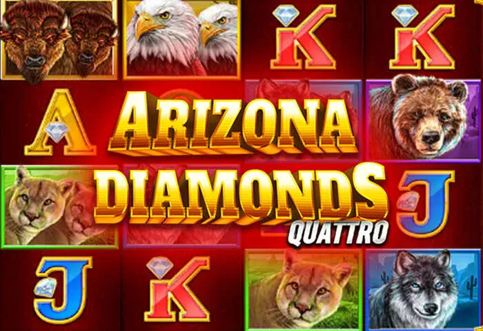 Place your bets online with Lucky Pari Sports Betting